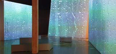 PhD Defence: Sophie Decroupet, “Translating Nature in the Museum”